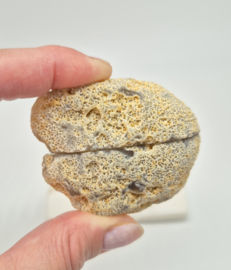 Agaat Geode (zie filmpje)