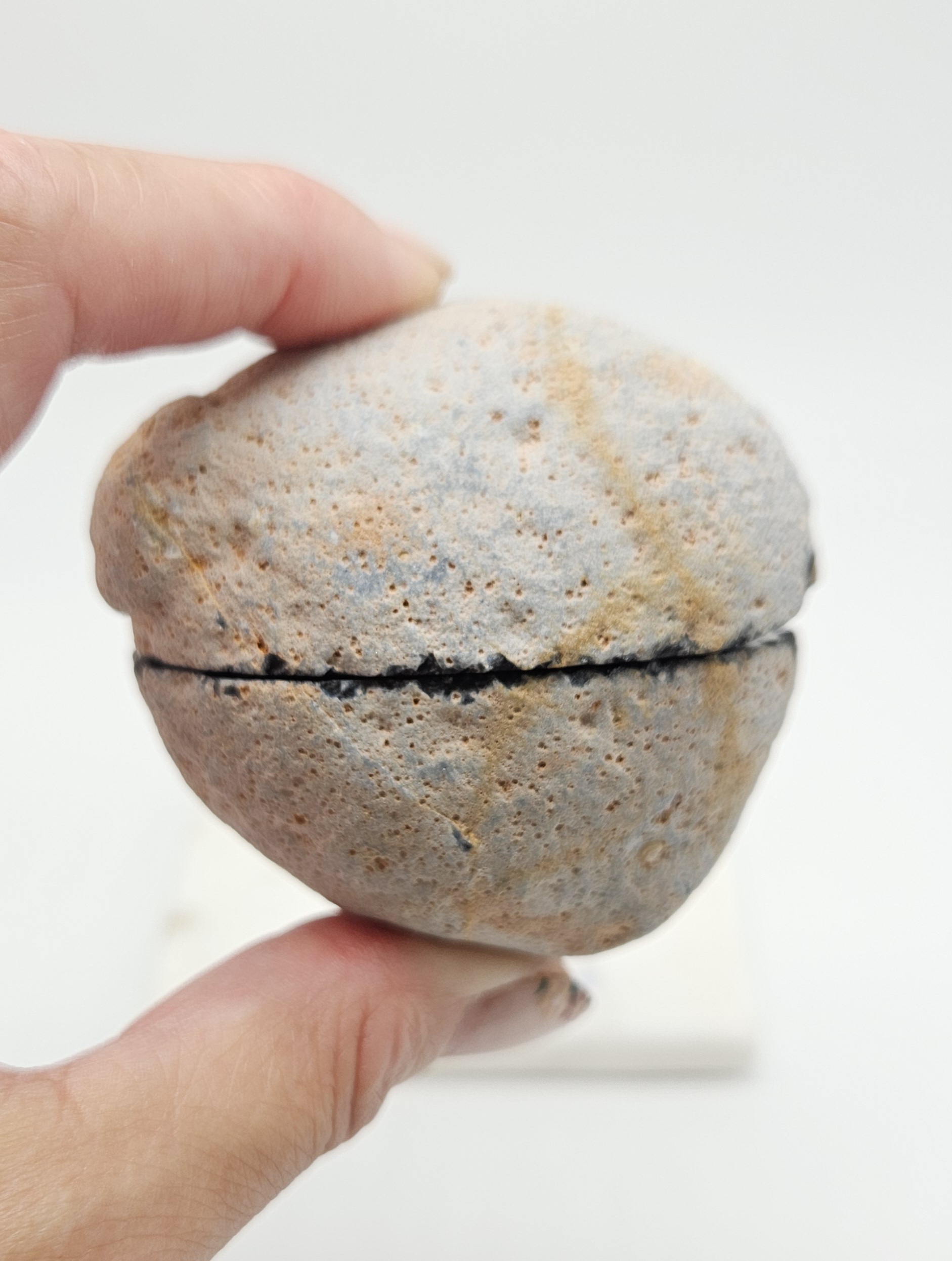 Druzy Agaat Geode (zie filmpje)