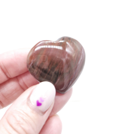 Versteend Hout Hart