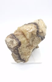 Septarie Ruw Staand (Drakenei)