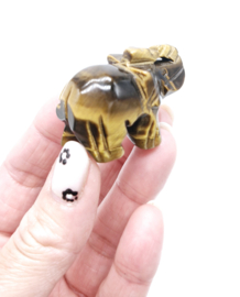 Tijgeroog Olifant (zie filmpje)