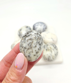 Mount Shasta Opaal handsteen/broekzaksteen