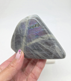 Labradoriet Paars ( zie filmpje)