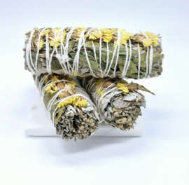 Salie Smudge Stick Zonnebloem