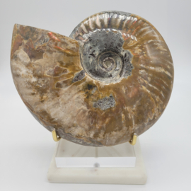 Ammoniet opaal XL (Interieurstuk) 1,033 kilo