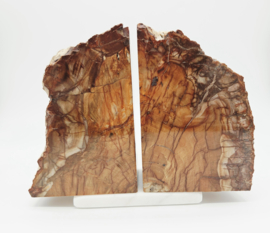 Versteend hout