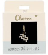 Charm 052 | Aquarius | Gold