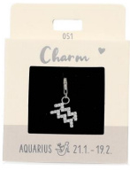 Charm 051 | Aquarius | Silver