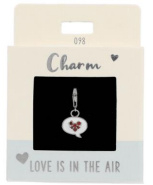 Charm 098 | Love is in the air | Silver