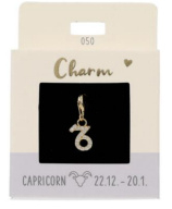 Charm 050 | Capricorn | Gold