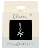 Charm 053 | Pisces | Silver