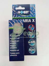 Hobby planaria X