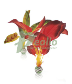 biOrb zijden plantenset L groen & rood