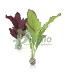 biOrb zijdenplantenset M groen & paar