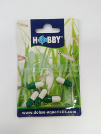 Hobby planaria bait