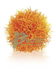 biOrb decobal oranje