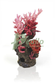 biOrb koraalrif ornament rood
