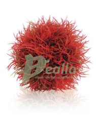 biOrb decobal rood