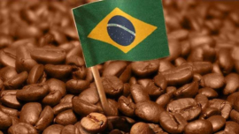 Brasil Intenso koffie 500gr. CO₂- neutraal