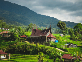 Indonesia Trenggiling Sumatra koffie 250gr CO₂- neutraal