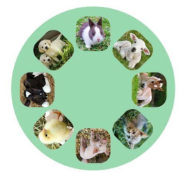 Zaklamp - Projector babydieren