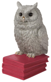 Boekensteun - Uil 3D