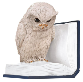 Boekensteun - Uil op boek