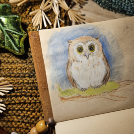 Pre-order: Projecttas middelgroot met ritssluiting Uiltje Afmeting tas: 38 cm breed en 28 cm hoog