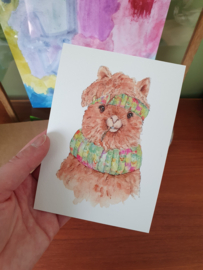 Alpaca