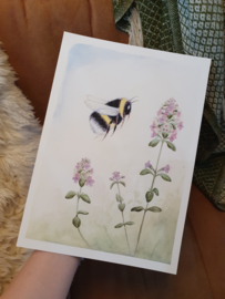 Poster Hommel en Tijm