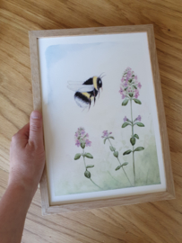 Poster Hommel en Tijm