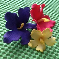 FMM | Hawaiian flower cutters (set/3)