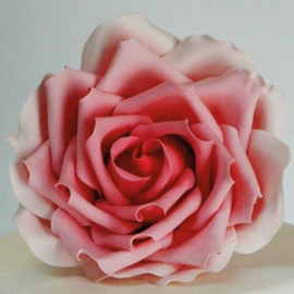 FMM | Large Rose petal cutter (set/3)