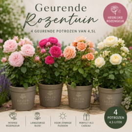 Geurende Rozentuin - Bundel