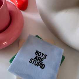 Boys are stupid.