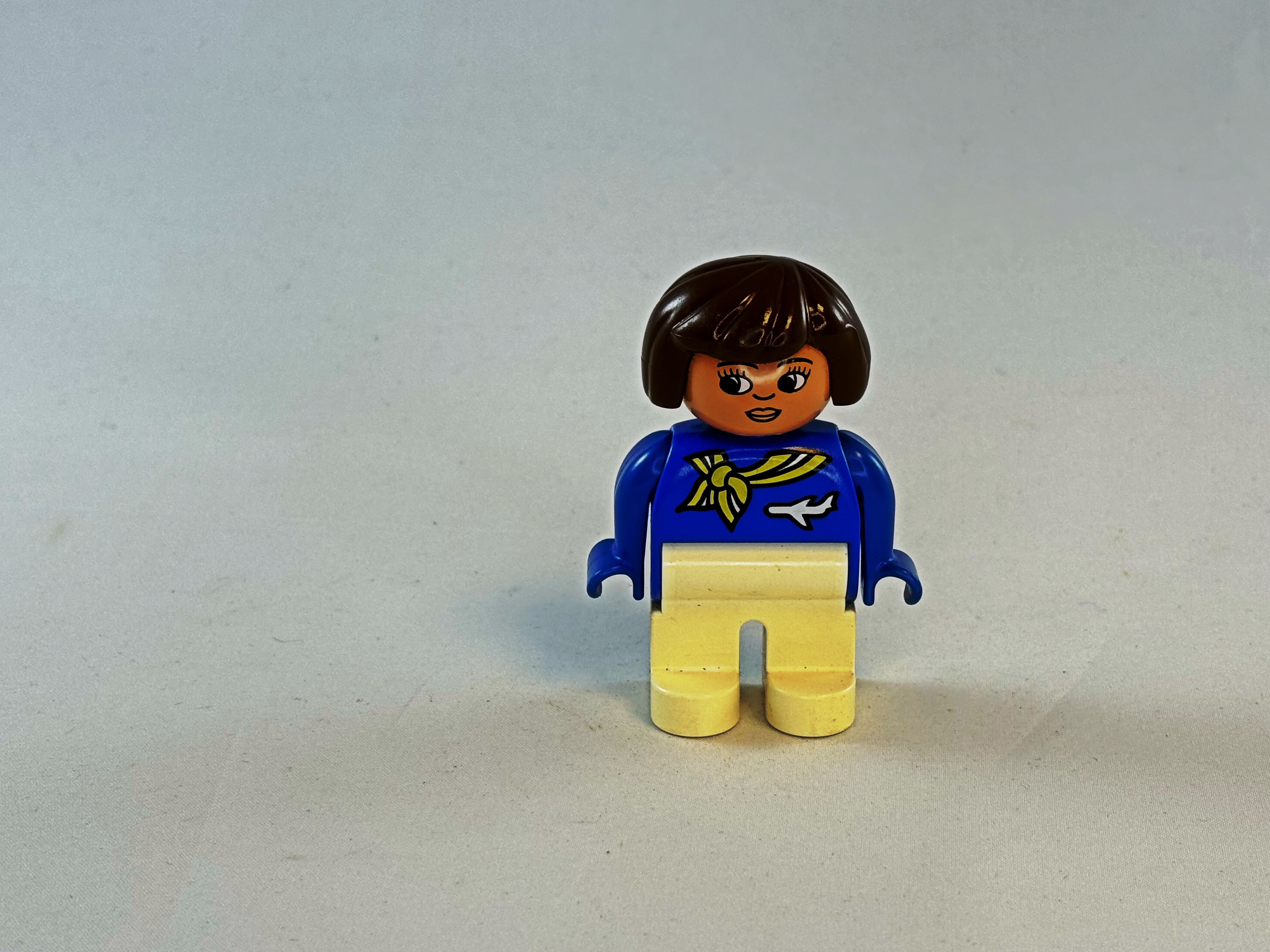 Stewardess Duplo