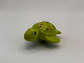 Schildpad Duplo