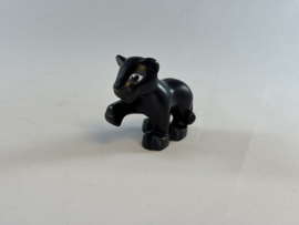 Panter jong Duplo