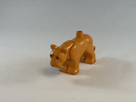 Leeuwin bruin Duplo