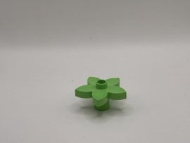 Bloem lichtgroen Duplo