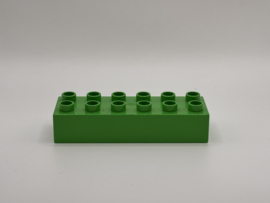 12 nops blok felgroen Duplo