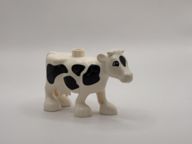Koe met witte uiers Duplo