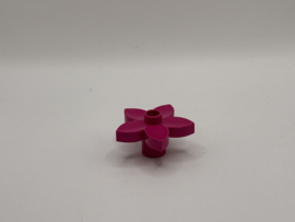 Bloem magenta Duplo