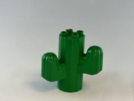 Cactus Duplo