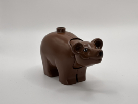 Bruine beer groot Duplo