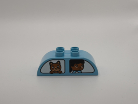 Creatieve auto’s blok afgerond azuurblauw Duplo