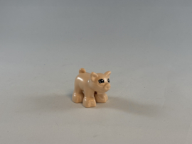 Varken / Big roze Duplo