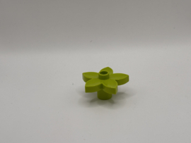 Bloem limoengroen Duplo