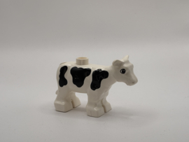 Koe / kalf Duplo