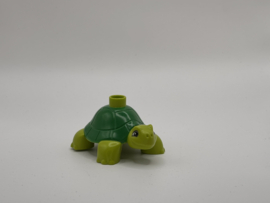 Schildpad Duplo